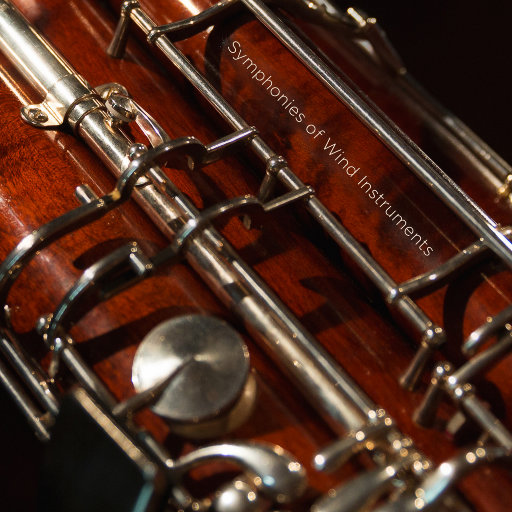 Stocking XXX HD photo
